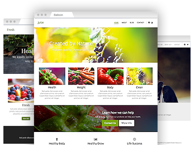 A variety of easy–to–customize website templates